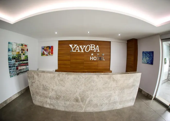 Yayoba 테키르다그